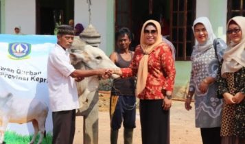 Bagikan Hewan Kurban DPW Provinsi Kepri Kampanye Pengurangan wadah plastik dalam pembagian daging Kurban