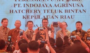 IMG 20190822 WA0018