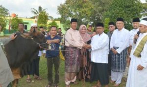 Idul Adha di Batam Isdianto Serahkan Hewan Kurban Presden RI ke masyarakat Batam