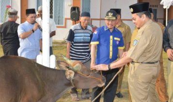 TS Arif Fadillah saat menyerahkan sapi Kurban pada Panitia Kurban Kwarda Gerakan paruma Kepri
