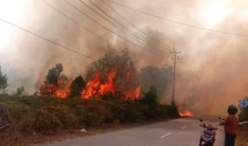 Kebakaran Hutan dan Lahan di keluarahan Seilekop Bintan Timur