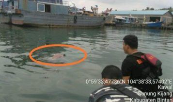 Korban Tenggelam di laut Kawal ditemukan mengambang