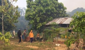 Lokasi Kebun Wasis yang dikepung kebakaran Lahan Lahan dan Hutan di Kampung Siantik Desa Bintan BuyuKecamatan Teluk Bintan