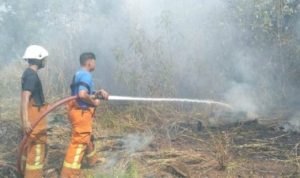 Penyiraman kebakaran Hutan dan Lahan oleh Petugas Pemadam Kebakran di Tanjungpinang