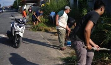 Cegah DBD Warga Harus Galakan Gootng Royong