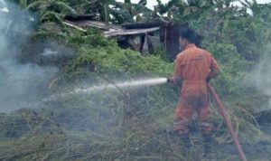 Petuga Pemadam kebakaran Tanjung Uban saat berupaya memadamkan api yang menyalak dan membakar semak lahan kebun milik warga Tanjung Uban