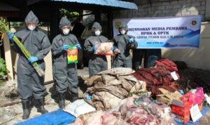 Dengan menggunakan APD Lengkap Karantina Karimun memusnahkan sejumlah komuditi barang Import