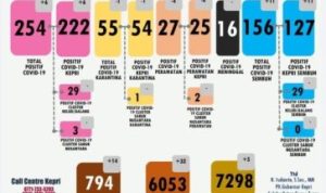 Data COVID 19 Kepri 15 Juni 2020 Positif Tambah Jadi 254 Kasus Sembuh 156 orang Dirawat 82 Orang