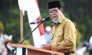 Plt.Gubernur Kepri Isdianto saat memberikan amanah pada pelantikan 11 Kepala desa Persiapan di Lingga