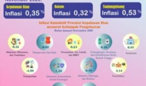 Perkembangan IHK Provinsi Kepri November 2020.