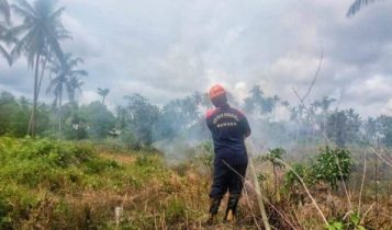 Petugas UPTD Damkar memadamkan kobaran api yang membakar 3 Hektare Lahan warga. F Hasura Presmedia.id Petugas UPTD Damkar memadamkan kobaran api yang membakar 3 Hektare Lahan warga. F Hasura Presmedia.id