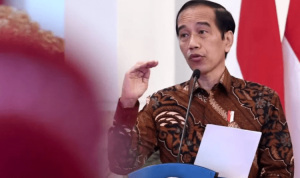 Presiden Joko Widodo Foto Setpres BPMI