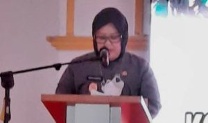Wakil Gubernur Kepri Hj.Marlin Agustina saat memabcakan amanat Panglima TNI dalam penutupan TMMD di Lingga