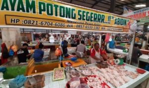 Usaha jualan daging ayam segar di Pasar Bintan Center Batu Sembilan Tanjungpinang. Merupakan salah satu sektor usaha mikro yang bisa diusulkan dapat BPUM
