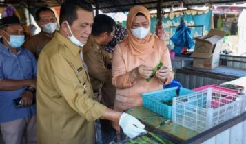 Gubernur Ansar bersama ketua TP PKK Kepri saat meninjau Rencana Penataan Kawasan Wisata Sei Enam Kijang. 1 Gubernur Ansar bersama ketua TP PKK Kepri saat meninjau Rencana Penataan Kawasan Wisata Sei Enam Kijang. 1