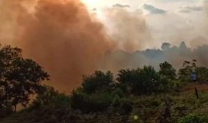 Lahan di Kolong Enam Kijang Terbakar