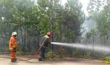 Petugas pemadam kebakaran sedang berupaya memadamkan api.