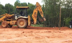 Asi Penimbunan Hutan Bakau di Bintan Marak Penertiban yang dilakukan Satpol PP terkesan Pilih Bulu scaled