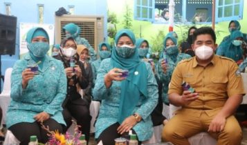 Ketua Umum TP PKK Tri Tito Karnavian berkunjung ke Posyandu Mawar Kampung Kolam Renang Kelurahan Kijang Kota Kabupaten Bintan.