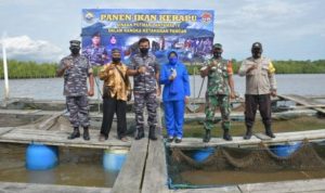 Lantamal IV Tanjungpinang Panen Raya Ikan Kerapu di KBN Tanjung Lanjut Kp.Bugis scaled
