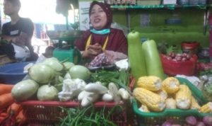 Komoditas cabai rawit di pasar tradisional Kabupaten Bintan mulai mengalami kenaikan harga. Kenaikannya mencapai Rp. 15.000 per Kilogram (Kg). (Foto: Hasura)