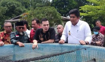 Plt. Bupati Bintan Roby Kurniawan saat melakukan kunjungan ke tambak warga dalam peningkatan sektor Perikanan Bintan (Foto: Hasura)