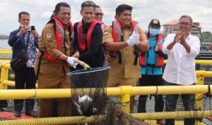 Gubenur Provinsi Kepri Ansar Ahmad dan Bupati Bintan Roby Kurniawan, panen ikan bawal hasil budidaya nelayan di Keramba Jaring Apung (KJA) Kampung Budidaya Perikanan Kampung Keter Tengah, Tembeling, Bintan, Senin (31/10/2022).