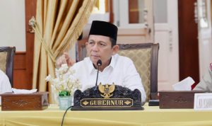 Gubernur Kepri Ansar Ahmad (Foto: Diskominfo)