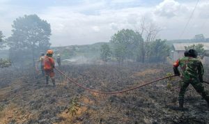 Karhutla di Bintan Kembali Terjadi, Dua Haktar Lahan Warga di Kampung Bugis Ludes Terbakar, Pemadam Kebakaran, Babinsa serta masyarakat lakukan pemadaman.
