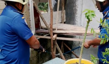 Petugas UPT Damkar Bintan Utara mengevakuasi ular Beludak Hitam. Foto Hasura Petugas UPT Damkar Bintan Utara mengevakuasi ular Beludak Hitam. (Foto: Hasura)