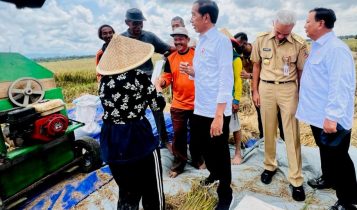 : Presiden Jokowi didampingi Menhan Prabowo Subianto dan Gubernur Jateng Ganjar Pranowo menyaksikan panen raya padi, di Kebumen, Provinsi Jawa Tengah, Kamis (09/03/2023). (Foto: Humas Setkab)