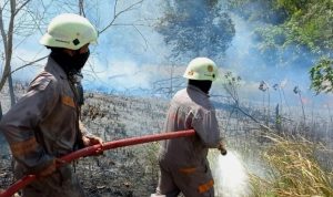 Tim Pemadam Kebakaran UPT Damkar Tanjung Uban, saat berjibaku memadamkan Api di Lahan Warga yang terbakar di Jalan Eka Bhakti II, Kampung Baru, Kelurahan Tanjung Uban Utara, Kecamatan Bintan Utara Bintan Provinsi Kepri, Minggu (12/3/2023).