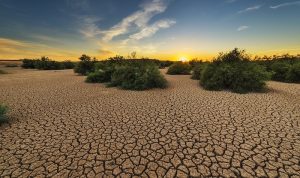 El Nino kemarau