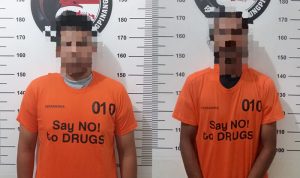Ganja Pelaku Nakroba Polresta Tanjungpinang