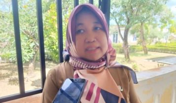 Kabid Aparatur Desa Dinas Pemberdayaan Masyarakat Desa (PMD), Sumardiyanti