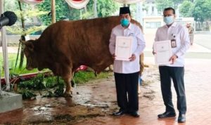 Kepala Biro Administrasi Setpres, Sony Kartiko, secara simbolis menyerahkan hewan kurban Presiden kepada Ketua Harian Badan Pengelola Masjid Istiqlal, Asep Syaifuddin, di Masjid Istiqlal, Jakarta, Senin (19/07/2021). (Foto: BPMI Setpres)