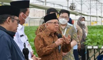 Wakil Presiden Maruf Amin saat memberikan keterangan pers usai meninjau Batamindo Green Farm di Kota Batam Kepulauan Riau pada Rabu 762023. Foto BPMI Setwapres Wakil Presiden Ma’ruf Amin saat memberikan keterangan pers usai meninjau Batamindo Green Farm di Kota Batam, Kepulauan Riau, pada Rabu (7/6/2023). (Foto: BPMI Setwapres)