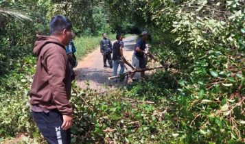 Lakalantas di jalan Tirta Madu Bintan Motor dan Pengendara Nyangkut di Dahan Pohon Tumbang Akbat pohon tumbang, Lakalantas terjadi di jalan Tirta Madu Bintan, Motor dan Pengendara Nyangkut di Dahan Pohon.