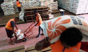 Ilustrasi stok pangan. (Foto: Dok-Presmedia.id)