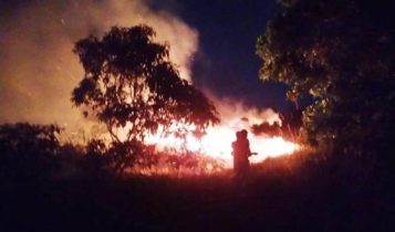 Petugas Damkar Bintan saat berjibaku memadamkan Api yang membakar lahan dan Hutan malam hari di Bintan (Foto: Hasura/Presmedia.id)