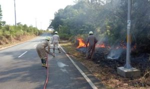 Personil UPT Damkar Bintan Utara sedang beraksi memadamkan kebakaran lahan di Tanjung Uban Utara. (Foto: Hasura/Presmedia.id)