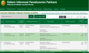 Tangkapan layar web SIPP-PN Tanjungpinang.