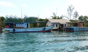 Desa Kelong merupakan wilayah pesisir di Kabupaten Bintan. Masyarakatnya bekerja sebagai nelayan pencari bilis. (Foto: Hasura/Presmedia.id).