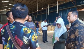 Tim Terpadu Kabupaten Bintan melakukan pengecekan aktivitas dan izin tiga perusahaan furniture China di Bintan Tim Terpadu Kabupaten Bintan melakukan pengecekan aktivitas dan izin tiga perusahaan furniture China di Bintan. (Foto: HasuraPresmedia.id)