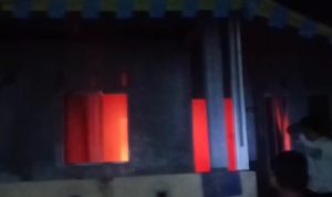 Rumah di Kampung Sidojadi Dilalap Sijago Merah. (Istimewa)