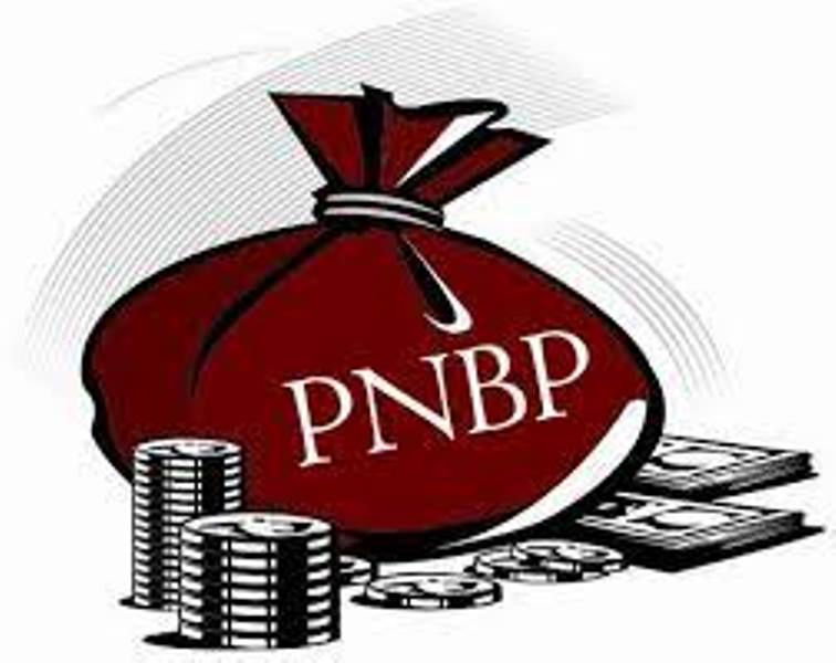 lustrasi PNBP. (Foto: Dirjen Pajak dan perbendaharaan Negara Kementerian Keuangan)
