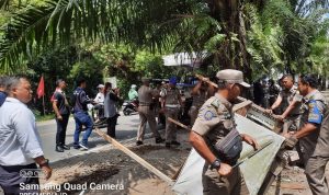 Sejumlah petugas satpol pp tanjungpinang saat penertiban lapak PKL. (Foto: Roland/Presmedia.id)