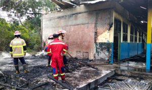 Gedung sekolah SDN 13 di Air Salak, Kecamatan Singkep, Kabupaten Lingga terbakar, Selasa (26/3/2024) siang. (Foto: Aulia/Presmedia.id)