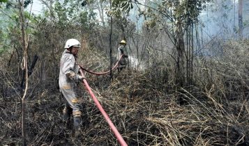 Petugas UPT Damkar Bintan Utara berjibaku memadamkan kobaran api di lahan Kampung Bukit Senyum Desa Lancang Kuning. (Foto: BPBD Bintan)