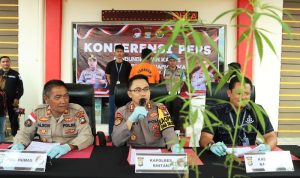 Kapolres Bintan AKBP.Riki Ismoyo dan BB Pokok ganja, saat menggelar Konferensi pers atas penangkapan Tersangka Aa yang nekat menanam Ganja di kebunnya km 17 desa Toapaya Selatan Kabupaten Bintan. (Foto: Humas Polres Bintan)